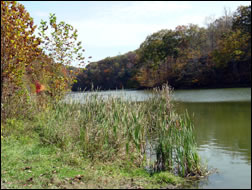 Farmers Kentucky Cave Run Lake Area Photo