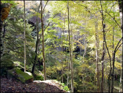 Farmers Kentucky Cave Run Lake Area Photo