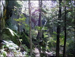 Farmers Kentucky Cave Run Lake Area Photo